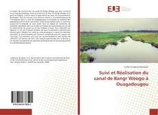 Capa do livro de Suivi et Réalisation du canal de Bangr Wéogo à Ouagadougou 