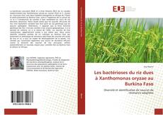 Обложка Les bactérioses du riz dues à Xanthomonas oryzae au Burkina Faso