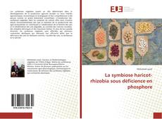 La symbiose haricot-rhizobia sous déficience en phosphore kitap kapağı