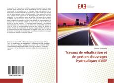 Travaux de réhalisation et de gestion d'ouvrages hydrauliques d'AEP kitap kapağı