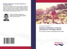 Capa do livro de Gestion ambiental y recursos naturales en Teustepe, Boaco 