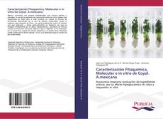 Обложка Caracterización Fitoquímica, Molecular e in vitro de Coyol. A.mexicana