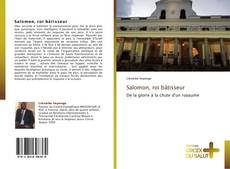 Buchcover von Salomon, roi bâtisseur