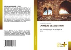 Buchcover von DETRUIRE CE SANCTUAIRE