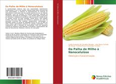Capa do livro de Da Palha de Milho à Nanocelulose 