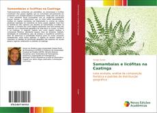 Samambaias e licófitas na Caatinga kitap kapağı