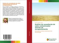 Copertina di Análise de remediação de solos contaminados através de encapsulamento