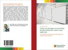 Como os grandes anunciantes de Blumenau/SC veem suas agências kitap kapağı