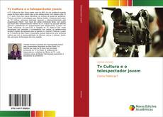 Bookcover of Tv Cultura e o telespectador jovem