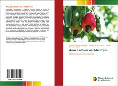 Anacardium occidentale kitap kapağı