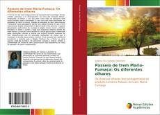 Bookcover of Passeio de trem Maria-Fumaça: Os diferentes olhares