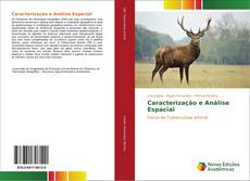 Bookcover of Caracterização e Análise Espacial