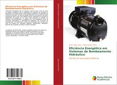 Buchcover von Eficiência Energética em Sistemas de Bombeamento Hidráulico