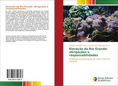 Buchcover von Elevação do Rio Grande: obrigações e responsabilidades