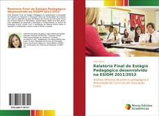 Buchcover von Relatório Final de Estágio Pedagógico desenvolvido na ESIDM 2011/2012