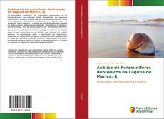 Análise de Foraminíferos Bentônicos na Laguna de Maricá, RJ kitap kapağı
