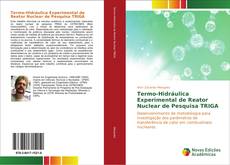 Termo-Hidráulica Experimental de Reator Nuclear de Pesquisa TRIGA kitap kapağı