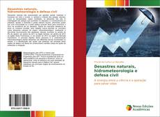 Capa do livro de Desastres naturais, hidrometeorologia e defesa civil 