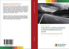 Capa do livro de Capitalismo contemporâneo e a desarticulação setorial e social 