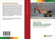 Buchcover von Degradação Hidromecânica de Rochas Brandas Silto-argilosas