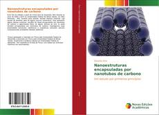 Capa do livro de Nanoestruturas encapsuladas por nanotubos de carbono 