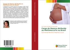 Bookcover of Carga de Doença Atribuída ao Metilmercúrio no Brasil