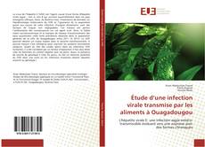 Capa do livro de Étude d’une infection virale transmise par les aliments à Ouagadougou 