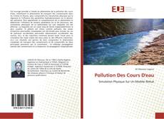 Portada del libro de Pollution Des Cours D'eau