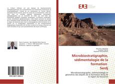 Buchcover von Microbiostratigraphie, sédimentologie de la formation Serdj