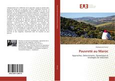 Bookcover of Pauvreté au Maroc