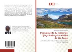 Bookcover of L'aenigmatite du massif de Djinga Tadorgal et de l'île de São Tomé