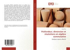 Buchcover von Profondeur, dimension et résolutions en algèbre commutative