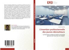 Bookcover of L'insertion professionnelle des jeunes décrocheurs
