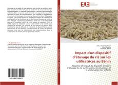 Impact d'un dispositif d’étuvage du riz sur les utilisatrices au Bénin的封面