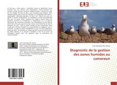 Bookcover of Diagnostic de la gestion des zones humides au cameroun