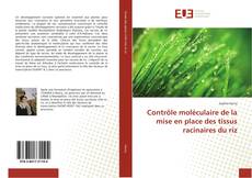 Bookcover of Contrôle moléculaire de la mise en place des tissus racinaires du riz