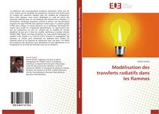 Buchcover von Modélisation des transferts radiatifs dans les flammes