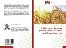 Buchcover von Politiques publiques et performances du secteur agricole au Cameroun