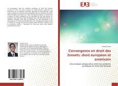 Couverture de Convergence en droit des brevets: droit européen et américain