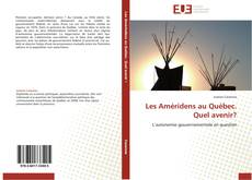 Capa do livro de Les Améridens au Québec. Quel avenir? 