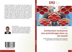 Combustion turbulente non-prémélangée dans un jet coaxial kitap kapağı