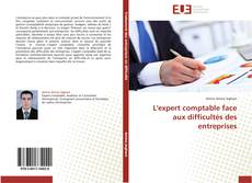 Buchcover von L'expert comptable face aux difficultés des entreprises