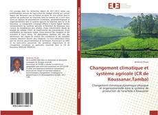 Capa do livro de Changement climatique et système agricole (CR de Koussanar,Tamba) 