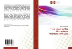 Capa do livro de Trois essais sur les fluctuations macroéconomiques 