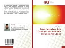 Bookcover of Étude Numérique de la Convection Naturelle dans une Cheminée Solaire