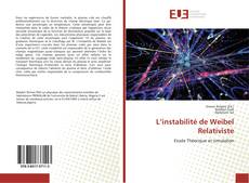 Copertina di L’instabilité de Weibel Relativiste