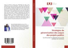 Copertina di Stratégies de pérennisation des acquis des projets publics