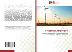 Capa do livro de Efficacité Energétique 