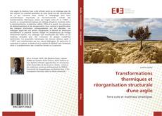 Capa do livro de Transformations thermiques et réorganisation structurale d'une argile 