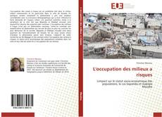 Buchcover von L'occupation des milieux a risques